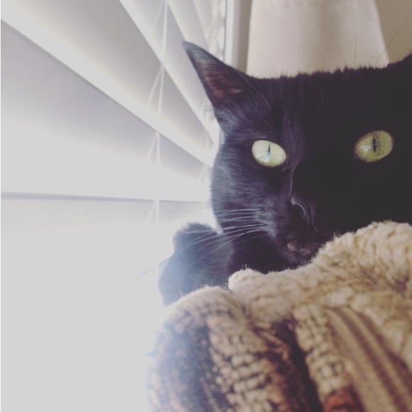 Meet your Posher, Mandy - Picture 2 of 2